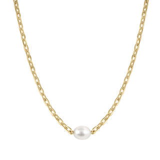 Paradise Necklace